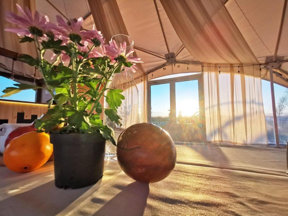 Jewelberry Glamping Hotel Tbilisi Mtsʼkhetʼa Kültér fotó
